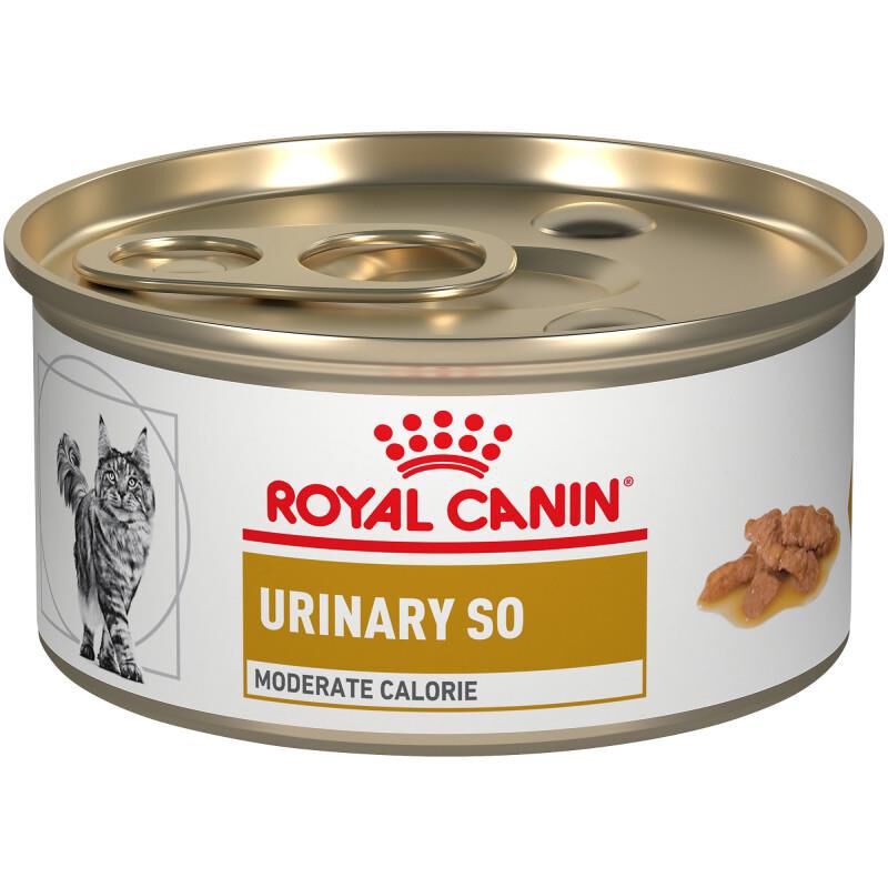 Royal Canin Veterinary Diet Adult Urinary SO Moderate Calorie Morsels in Gravy Canned Cat Food, 24 x 3 oz cans