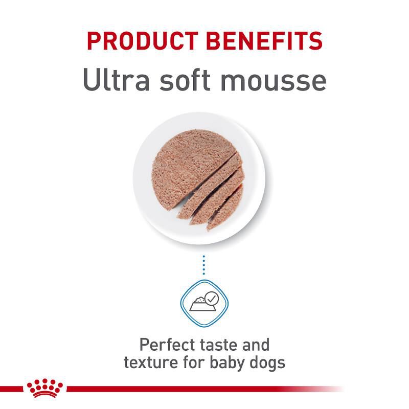 Royal Canin Size Health Nutrition Starter Mother & Babydog Mousse In Sauce Canned Dog Food, 24 x 5.1 oz cans