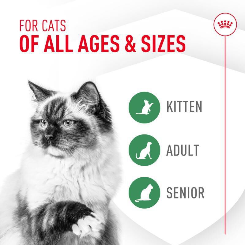 Royal Canin Probiotics Digestive & Immune Health Powder Supplement for Cats, 30 x 1 gm packets