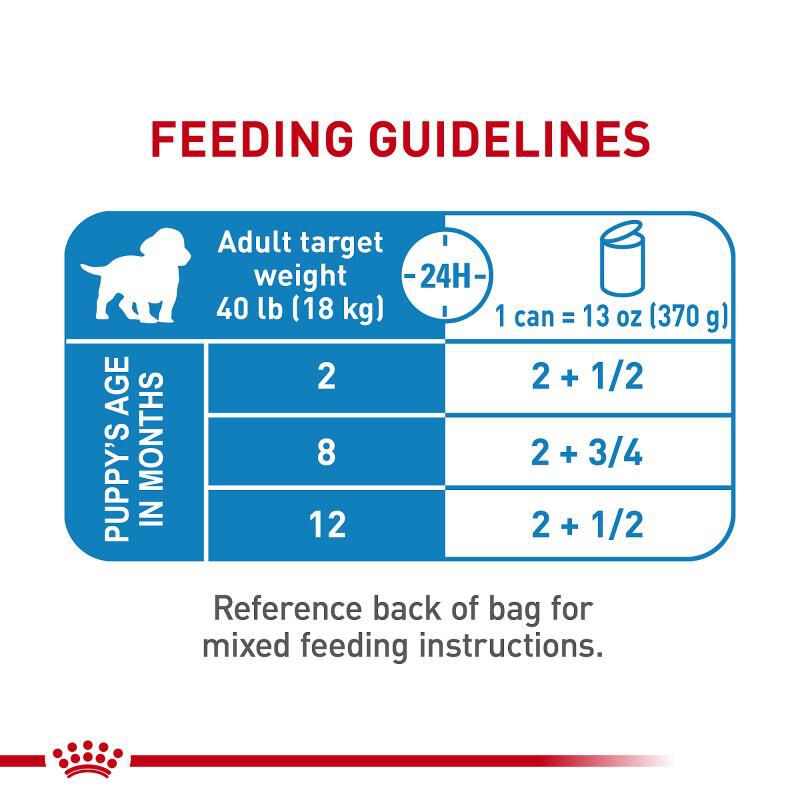 Royal Canin Size Health Nutrition Medium Puppy Thin Slices in Gravy Canned Food, 12 x 13 oz cans