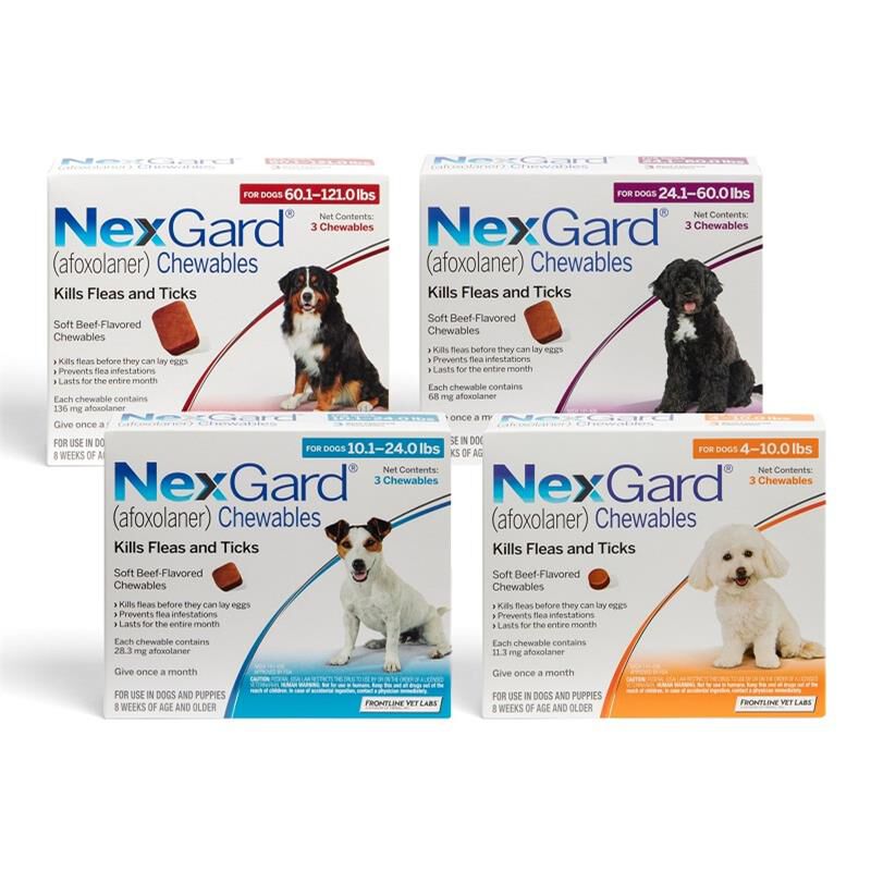 Nexgard Chewables for Dogs Flea & Tick Best Prices Allivet