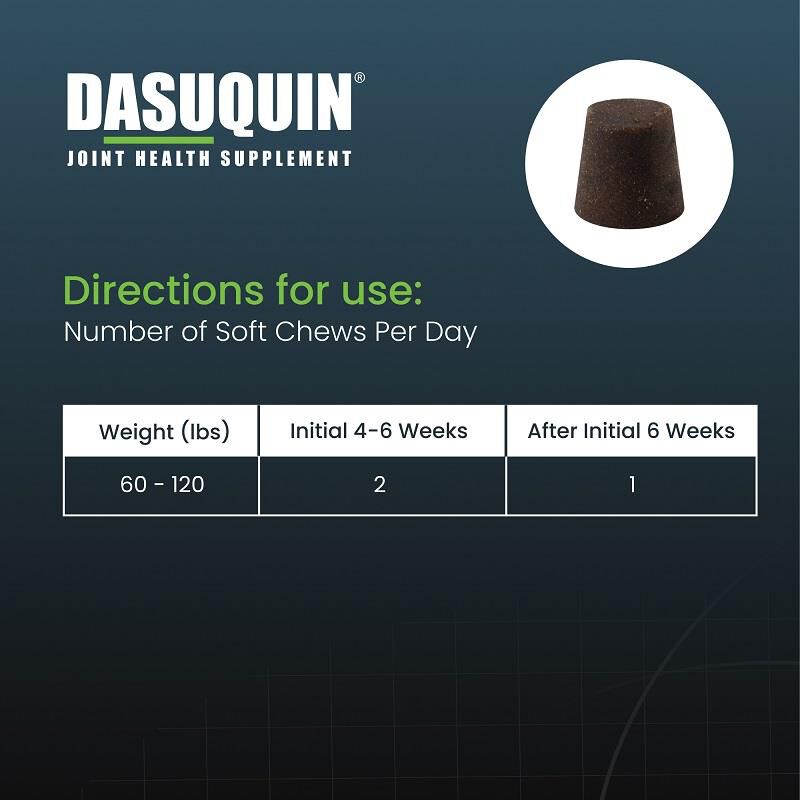 Dasuquin with MSM Soft Chews for Large Dogs over 60 lbs, 42 Ct.