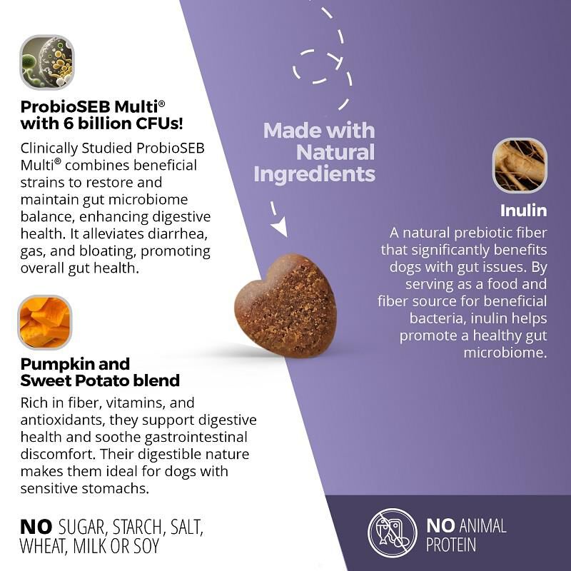Gut, Prebiotic & Probiotics Soft Chews for Dogs, 60 ct