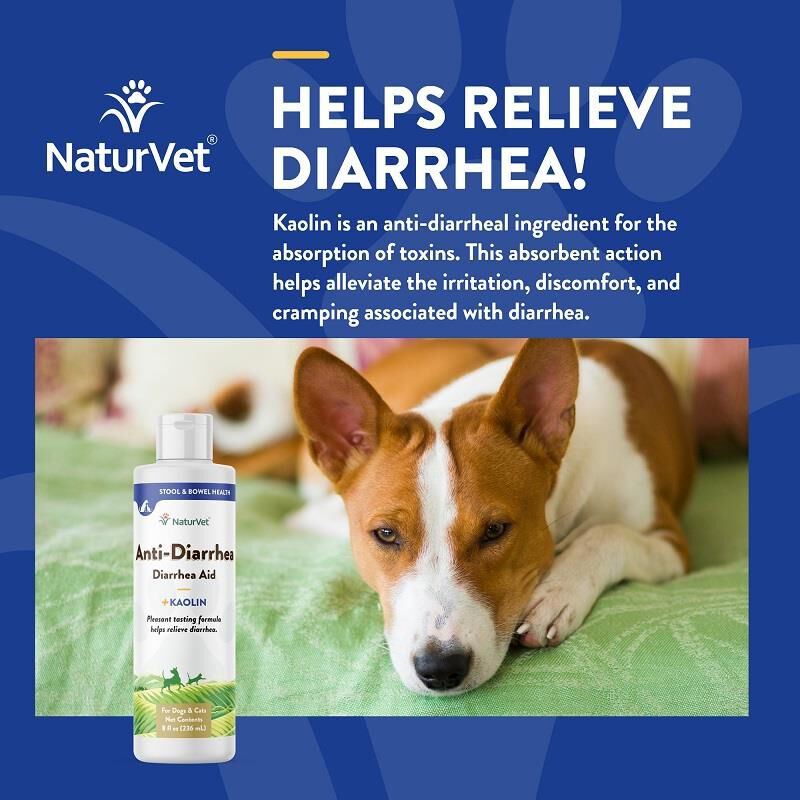Buy NaturVet Anti-Diarrhea for Dogs and Cats Oz at best price
