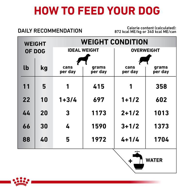 Royal Canin Veterinary Diet Hydrolyzed Protein Loaf Canned Dog Food, 12 x 13.7 oz cans