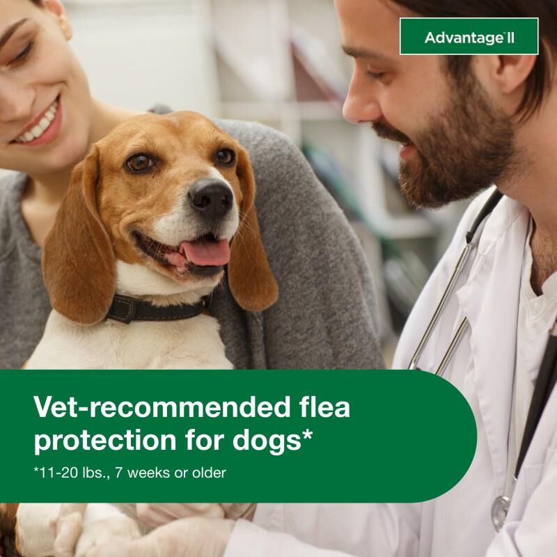 Advantage II Flea Prevention for Medium Dogs, 4 monthly treatments