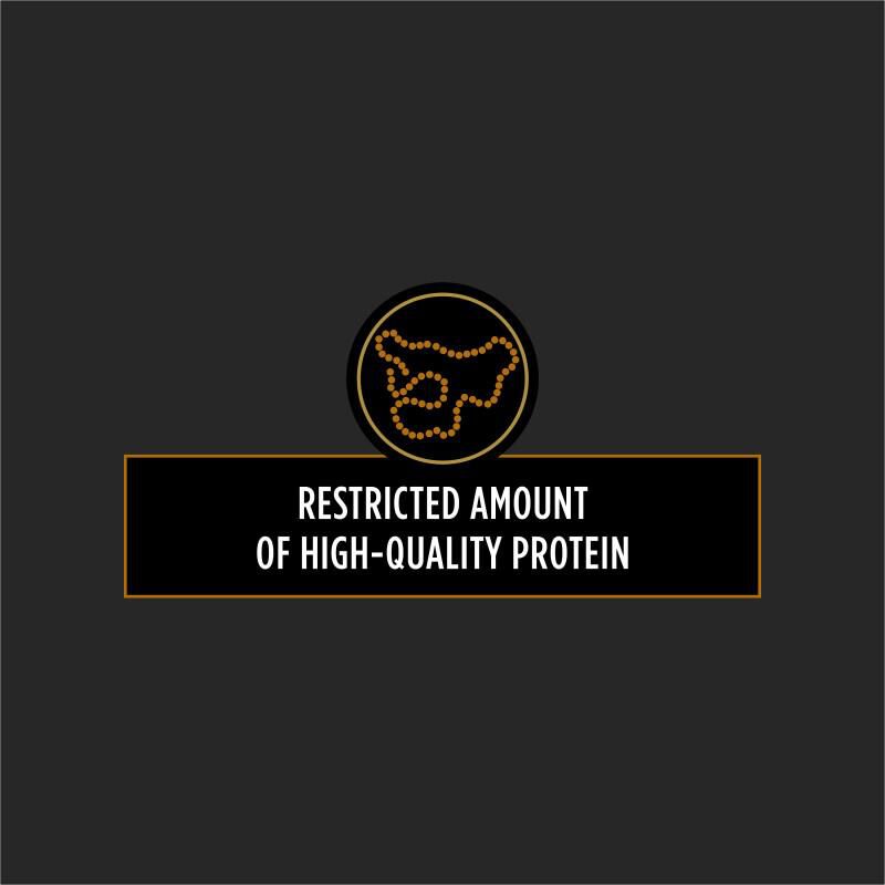Purina Pro Plan Veterinary Diets NF Kidney Function Formula Adult Dog Food, 6 lbs