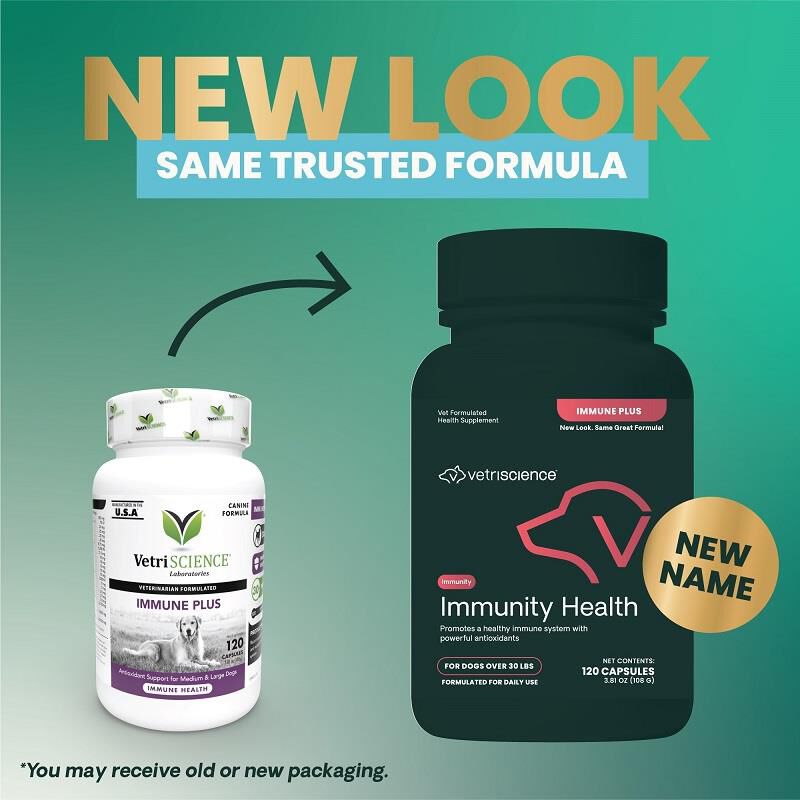 VetriScience Immunity Health Immune Plus for Medium and Large Dogs, 120 Capsules