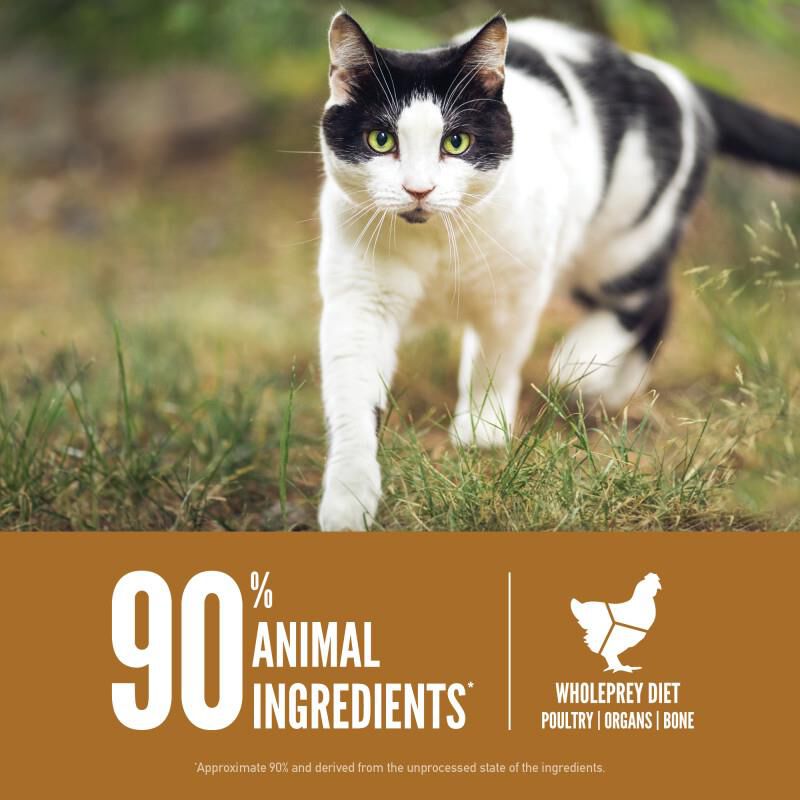 Orijen Original Cat Dry Food, 4 lbs