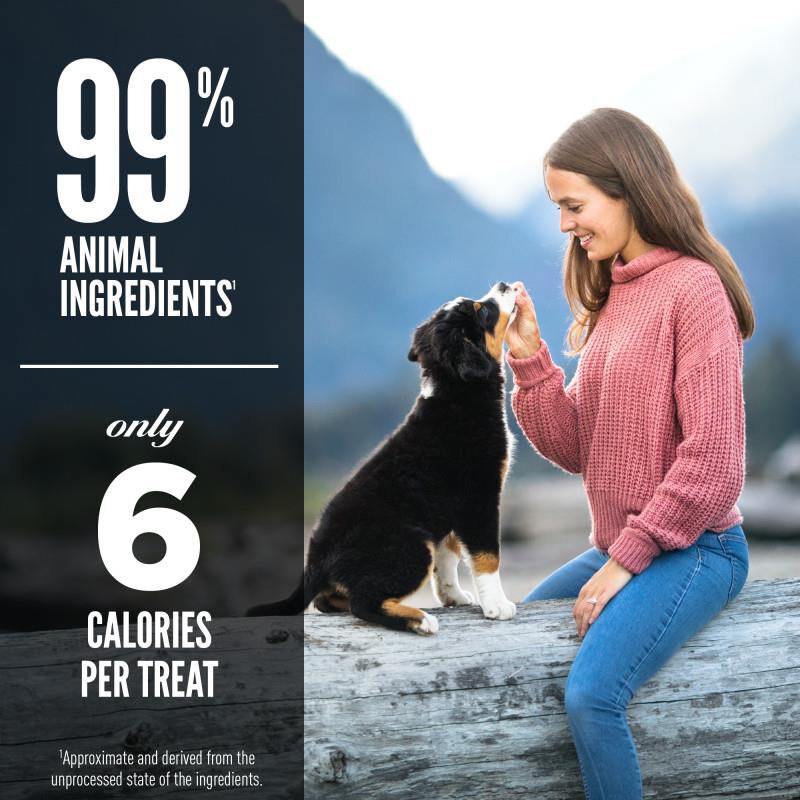 Orijen Grass-Fed Lamb Freeze-Dried Dog Treats, 3.25 oz