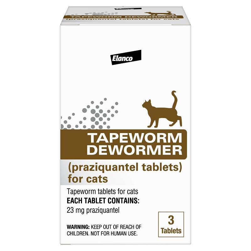 Order Tapeworm Medicine for Cats Treatment for Tapeworms in Cats
