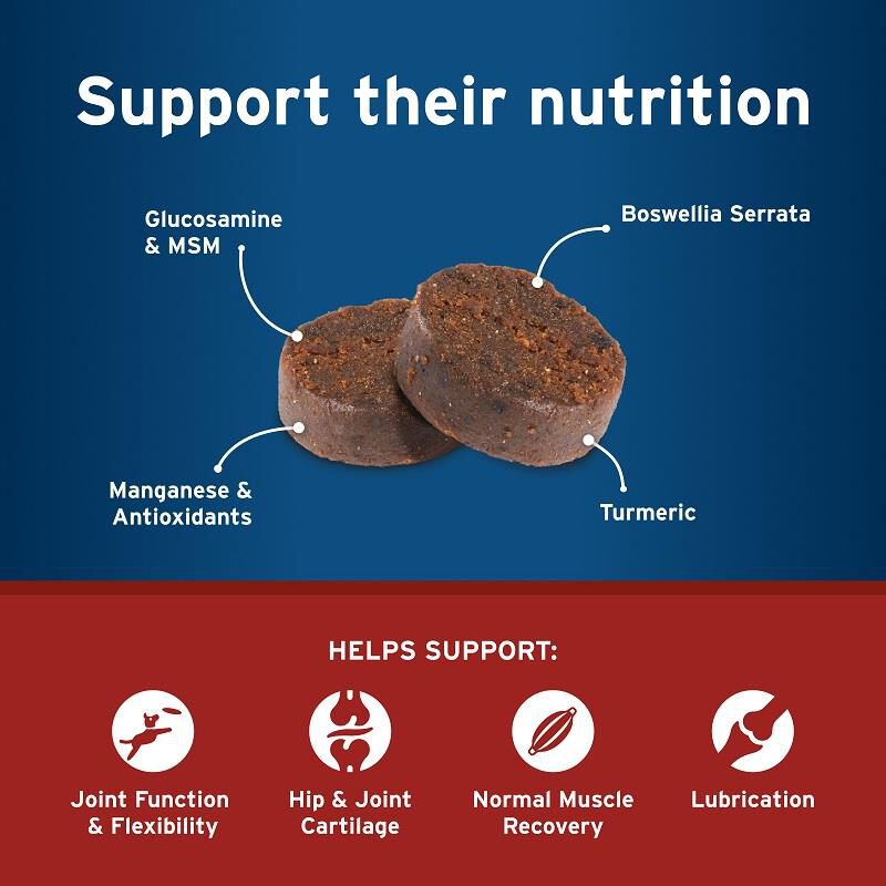 Pet Protect Hip & Joint + Synovi G4 Soft Chews for Dogs, 240 Ct.