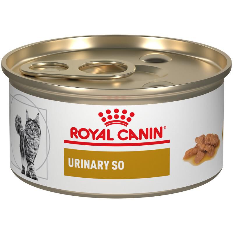 Royal Canin Veterinary Diet Adult Urinary SO Morsels in Gravy Canned Cat Food, 3 oz cans