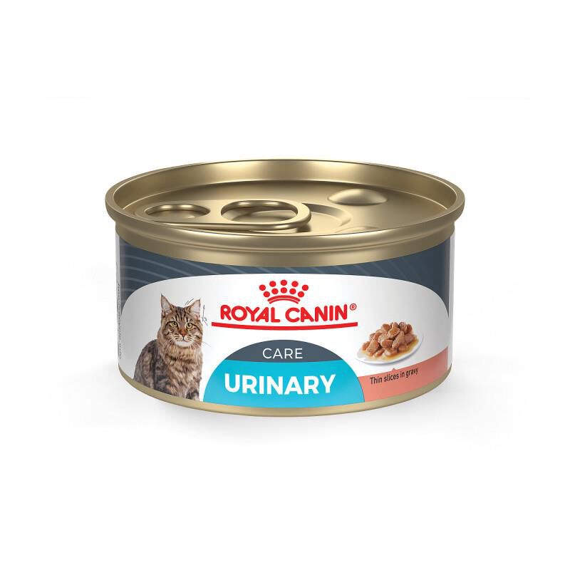 Royal Canin Feline Care Nutrition Adult Urinary Care Thin Slices in Gravy Canned Cat Food, 24 x 3 oz cans