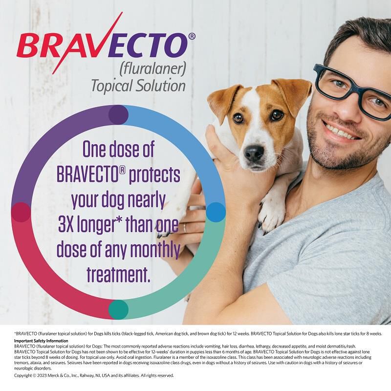 Bravecto Topical Solution for Dogs, 9.9 - 22 lbs 250 mg Orange