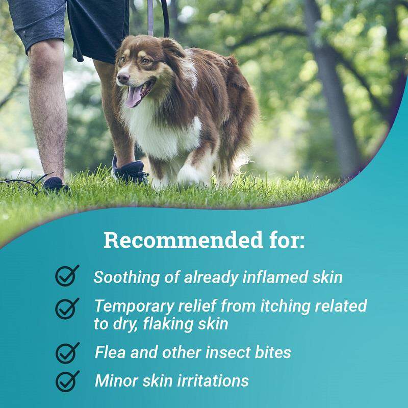 DVM Pharmaceuticals RELIEF Shampoo for dogs, cats and horses