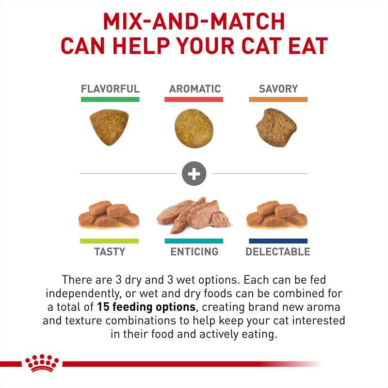 Royal Canin Veterinary Diet Renal Support Starter Kit Dry and Wet Cat Food, 17.1 oz