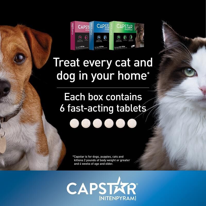 Capstar Flea Tablets for Dogs 25 lbs & Up Green, 6 Ct.