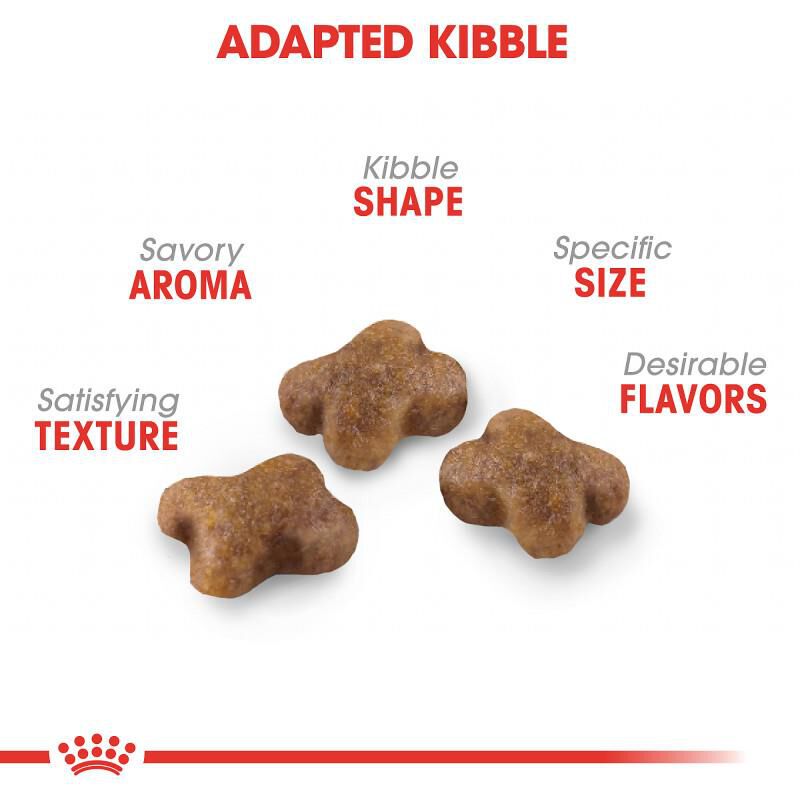 Royal Canin Feline Health Nutrition Kitten Dry Cat Food