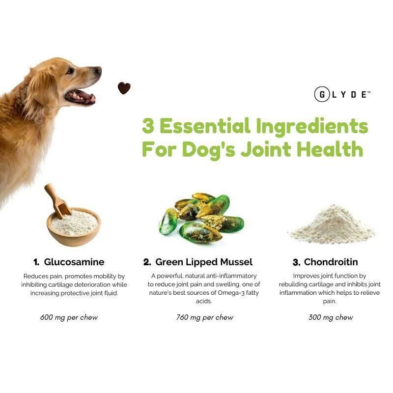 Glyde Mobility Chews for Dogs, 120 Ct.