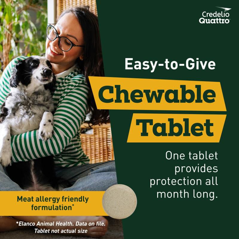 Credelio Quattro Flavored Chewable Tablet for Dogs & Puppies 12.1-25 lbs Orange 6 Month Supply