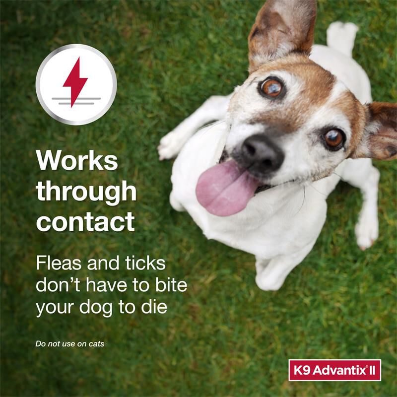 K9 Advantix II for Dogs 11 - 20 lbs Teal, 1 Month Supply