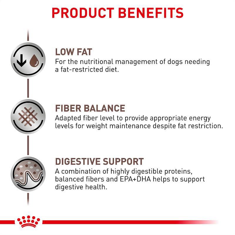Royal Canin Veterinary Diet Adult Gastrointestinal Low Fat Canned Dog Food Wet Loaf, 13.5 oz cans