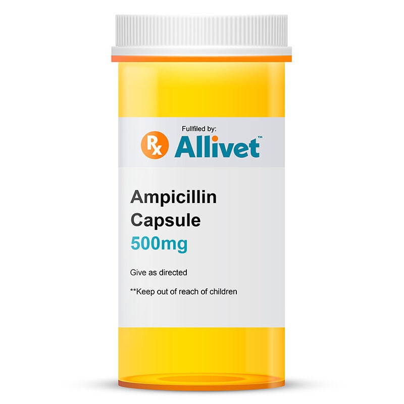 Ampicillin 500 mg Capsule