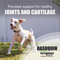 Dasuquin Small & Med Dogs 84 Ct.