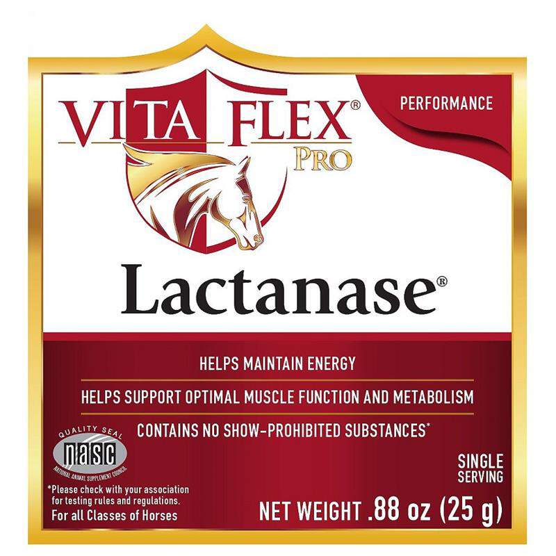 Lactanase Performance Supplement For Horses - Vita Flex | Allivet
