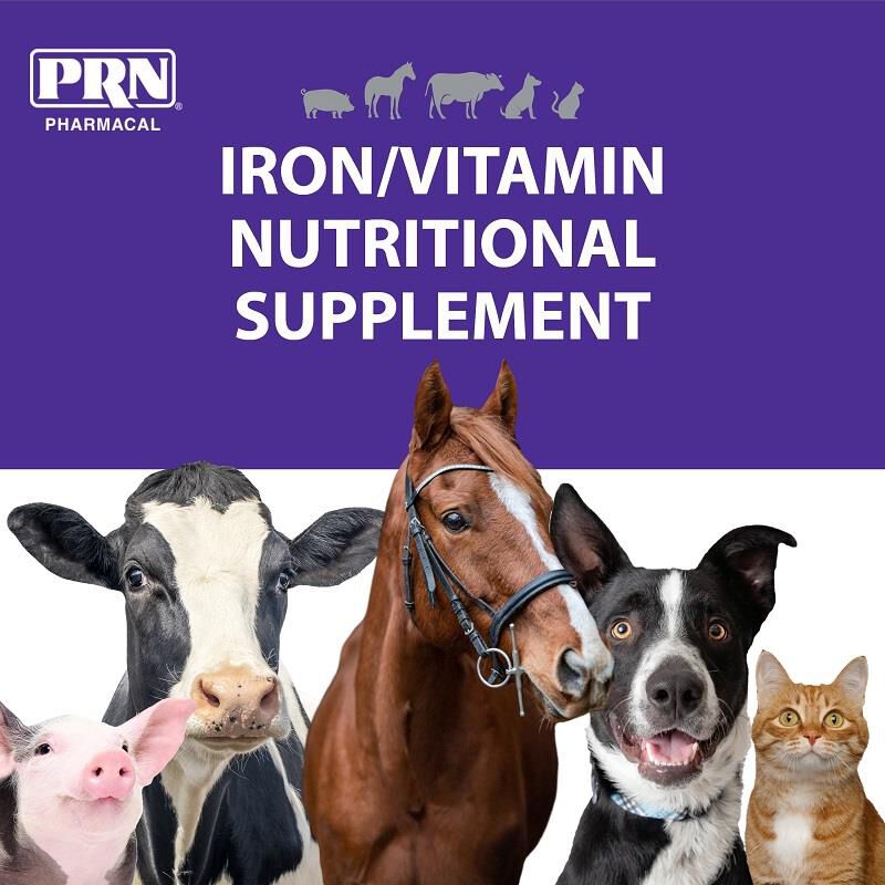 PRN Pharmacal, Inc. Liqui-Tinic 4x Vitamin Supplement for Dogs and Cats, 2 oz