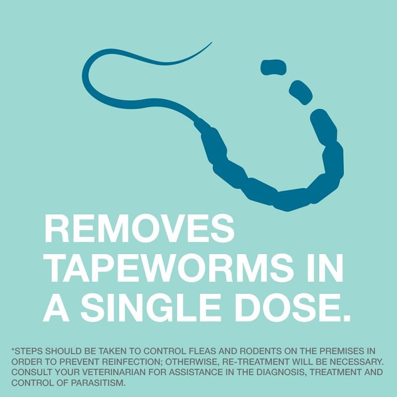 Bayer Tapeworm Dewormer (Praziquantel) for Cats, 3 Tablets