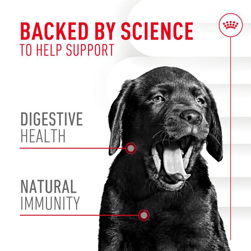Royal Canin Puppy Digestive & Immune Health Chewable Supplements, 60 Soft Chews