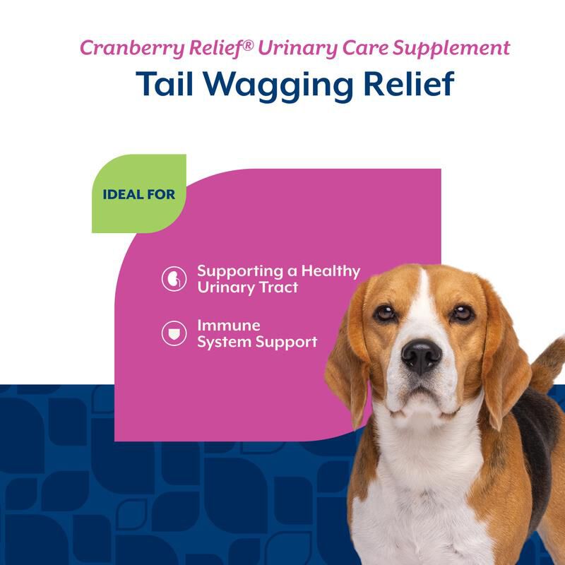 NaturVet Cranberry Relief Healthy Urinary Tract Plus Echinacea Soft Chews for Dogs