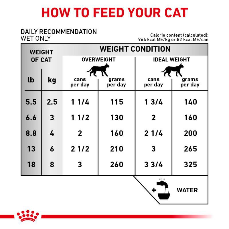 Royal Canin Veterinary Diet Adult Renal Support Early Consult Loaf in Sauce Canned Cat Food, 24 x 3 oz cans