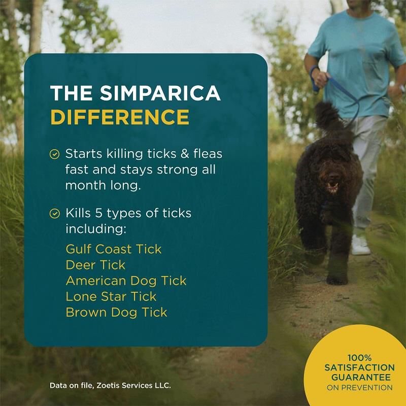 Simparica Chewable Tablets for Dogs 5.6-11 lbs Purple, 3 Month Supply