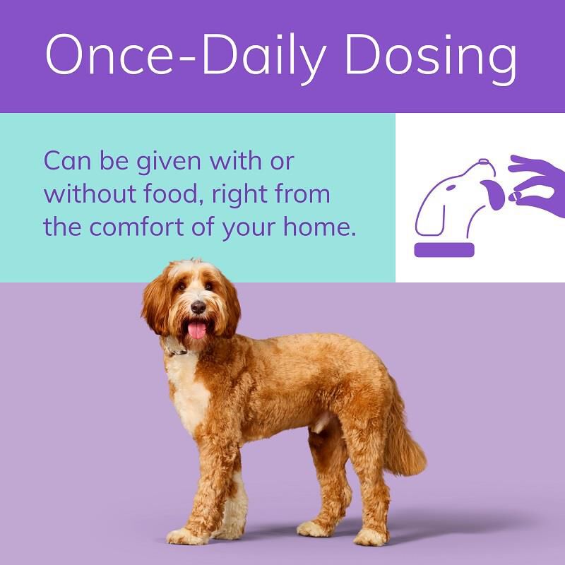 Zenrelia (ilunocitinib) Tablets for Dogs, 6.4 mg 30 ct