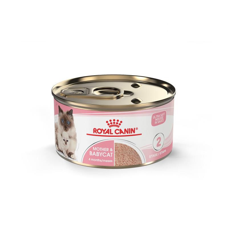 Royal Canin Feline Health Nutrition Mother & Babycat Ultra Soft Mousse in Sauce Canned Cat Food, Case of 24