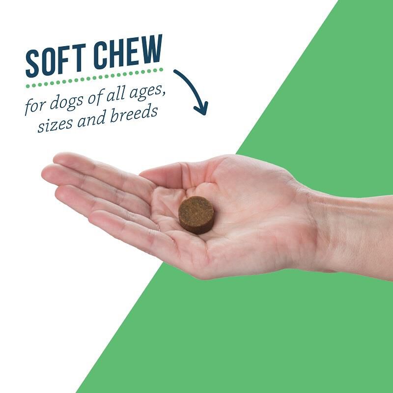 Lactoquil soft chews outlet