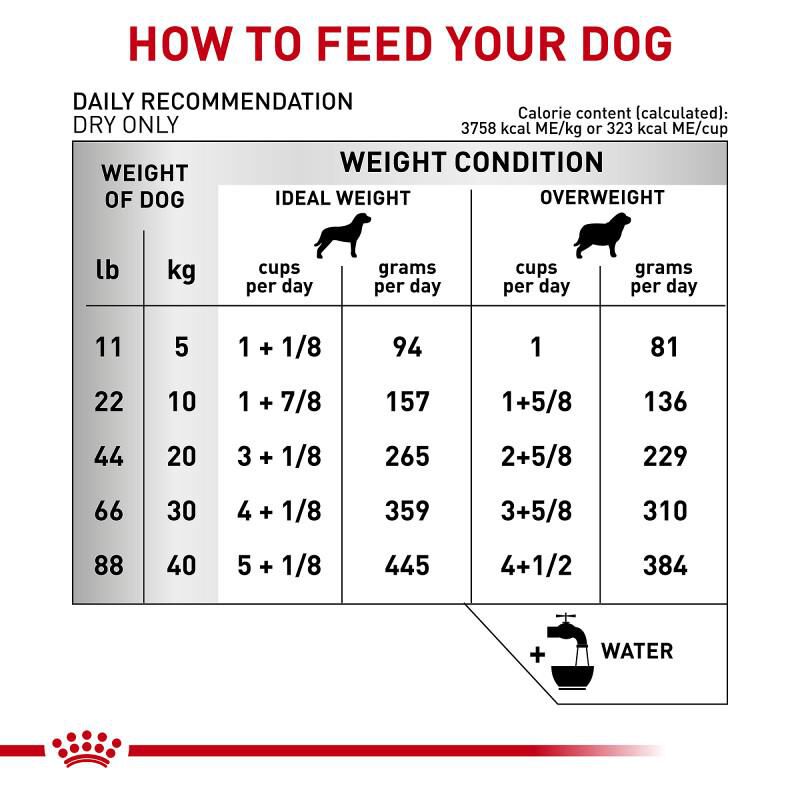 Royal Canin Veterinary Diet Adult Ultamino Dry Dog Food, 19.8 lb bag