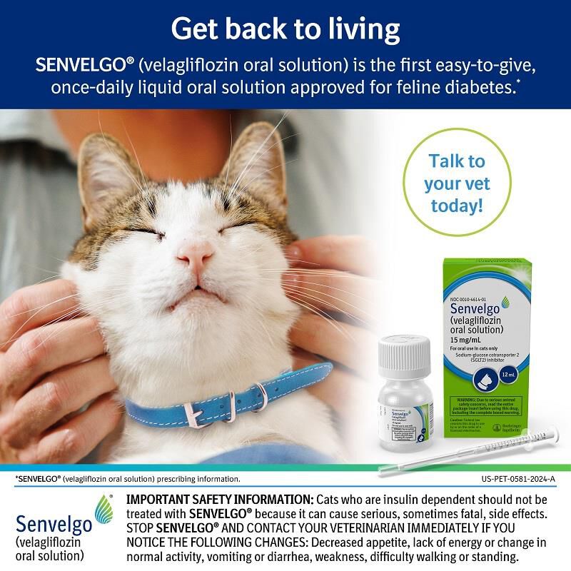 Senvelgo (velagliflozin oral solution) for Cats, 15 mg/ml, 30 ml