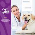 NaturVet VitaPet Senior Daily Vitamins Plus Glucosamine for Dogs, 60 Soft Chews