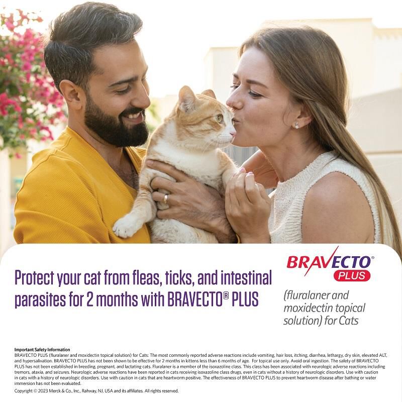 Bravecto Plus Topical Solution for Cats 6.2-13.8 lbs (Fluralaner 250 mg/Moxidectin 12.5 mg) Blue