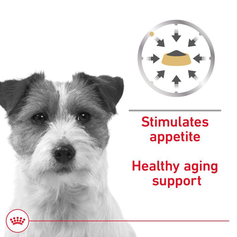 Royal Canin Canine Health Nutrition Mature 8+ Loaf In Sauce Canned Dog Food, 24 x 5.2 oz cans