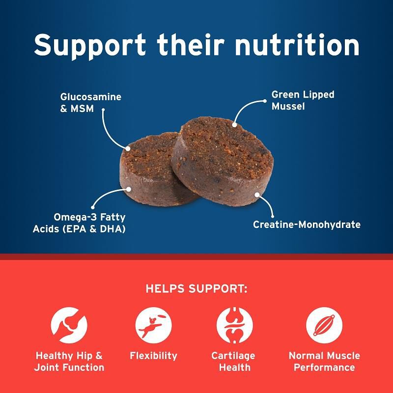 Pet Protect Hip & Joint Synovi G3 Soft Chews for Dogs