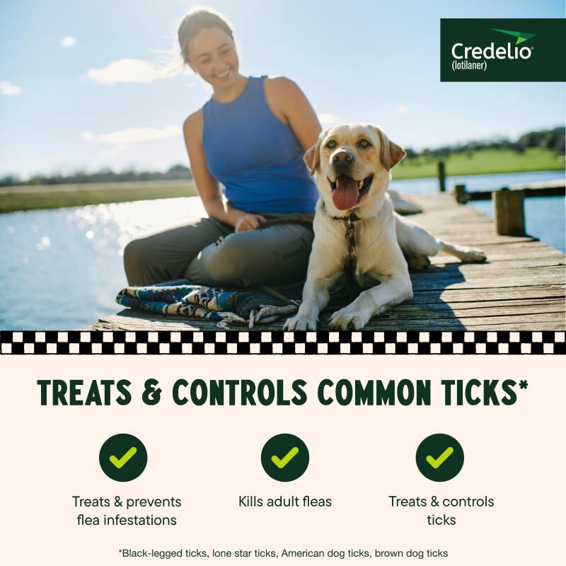 Credelio Flea & Tick Chewable Tablets for Dogs & Puppies 50.1-100 lbs (900 mg) Blue 1 Month Supply