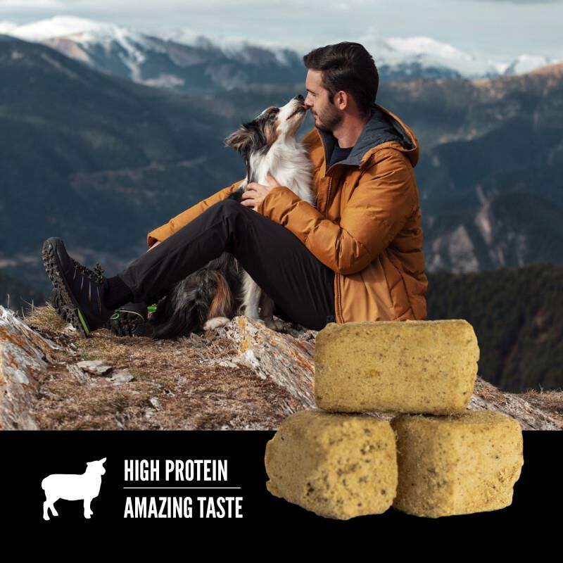 Orijen Grass-Fed Lamb Freeze-Dried Dog Treats, 3.25 oz