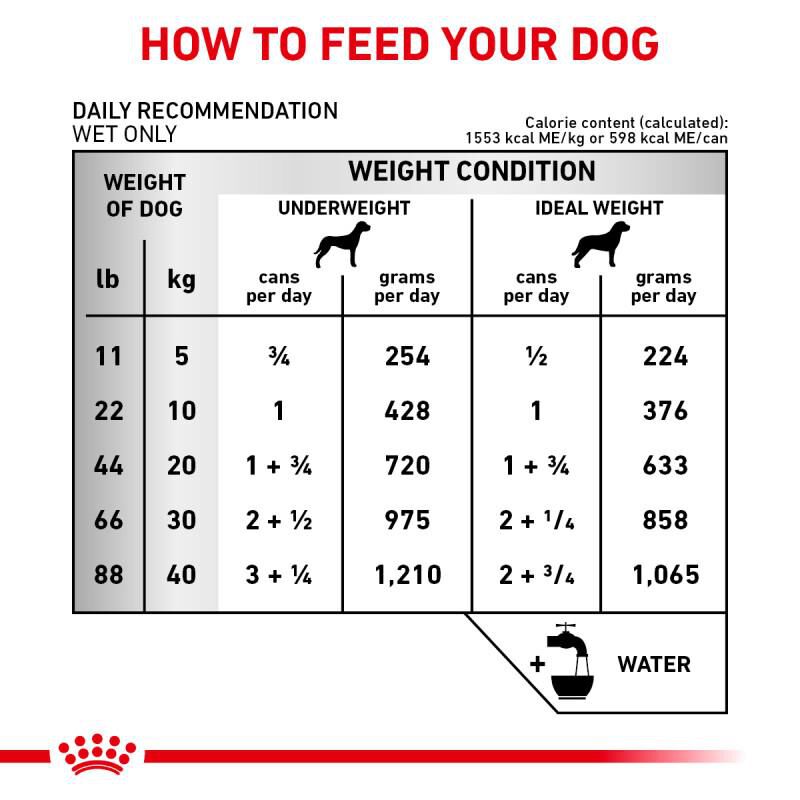 Royal Canin Veterinary Diet Adult Renal Support E Loaf Canned Dog Food, 24 x 13.5 oz cans
