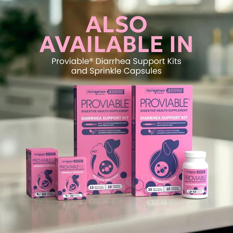 Proviable-DC Digestive Health Supplement for Dogs, 60 Chewable Tablets