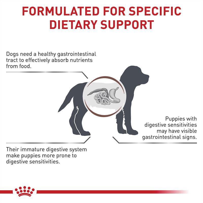 Royal Canin Veterinary Diet Gastrointestinal Puppy Dry Food